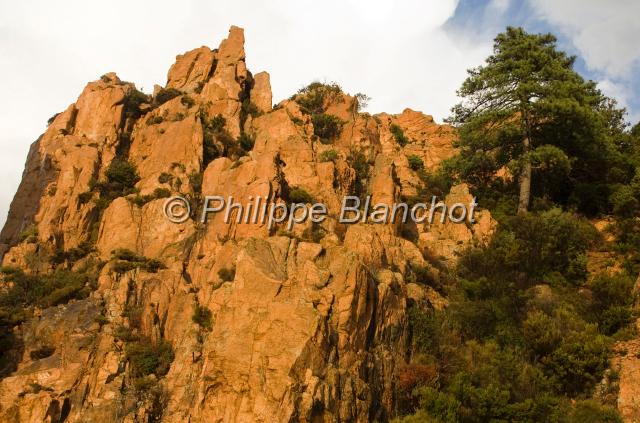 france corse 38.JPG - Calanches de PianaHaute Corse